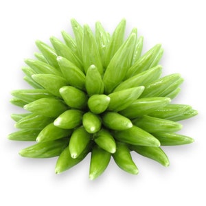 Ouriço-do-mar em cerâmica fina, para colocar ou pendurar, em várias cores e dois tamanhos (1ud)