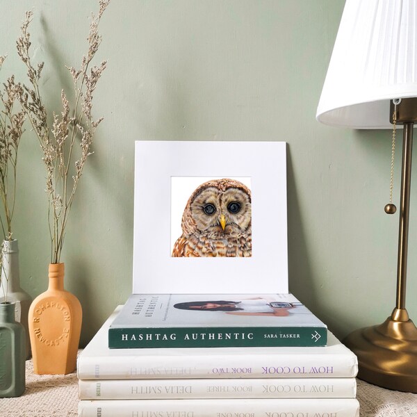 Tawny Owl Art Print | Tawny Owl Print | Owl Gift | Mounted Print | Bird Print | Wildlife Print | Gift Ideas | Owl Art | Bird Art | Owl Print