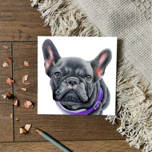 Cartão de cumprimentos do buldogue francês de <br> Entrega Rápida? Cartão do buldogue francês de <br> Entrega Rápida? cartão de cumprimentos do animal de estimação | cartão do cão | Cartão de aniversário | Amante de cães | Cartão Francês
