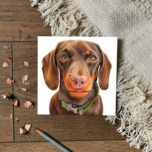 Dackel Dackel Grußkarte | Dackel Karte | Haustier Grußkarte | Hunde Karte | Geburtstagskarte | Hundeliebhaber | Miniatur Dackel Karte