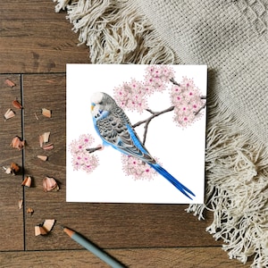 Biglietto di auguri per parrocchetto blu e bianco / Biglietto per parrocchetto / Biglietto di auguri per la fauna selvatica / Biglietto per uccelli / Biglietto di compleanno / Parrocchetto blu / Biglietto per amanti degli uccelli