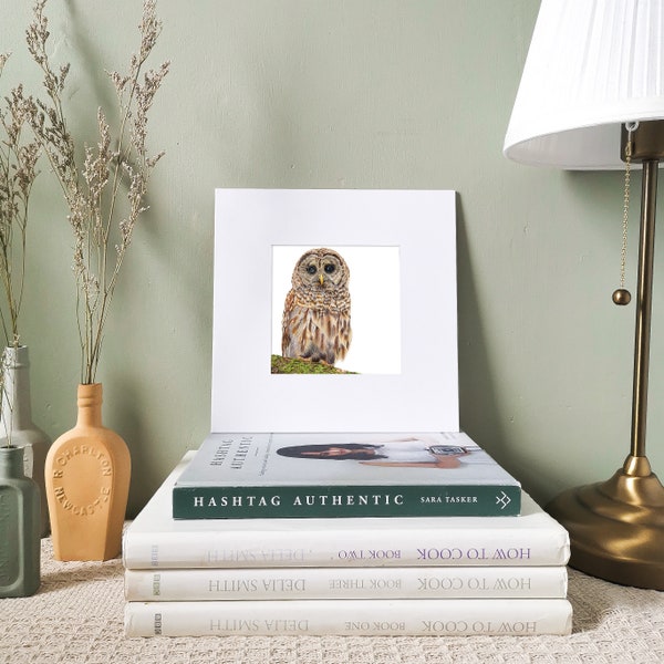 Owl Art Print | Tawny Owl Print | Owl Gift | Mounted Print | Bird Print | Wildlife Print | Gift Ideas | Owl Art | Bird Art