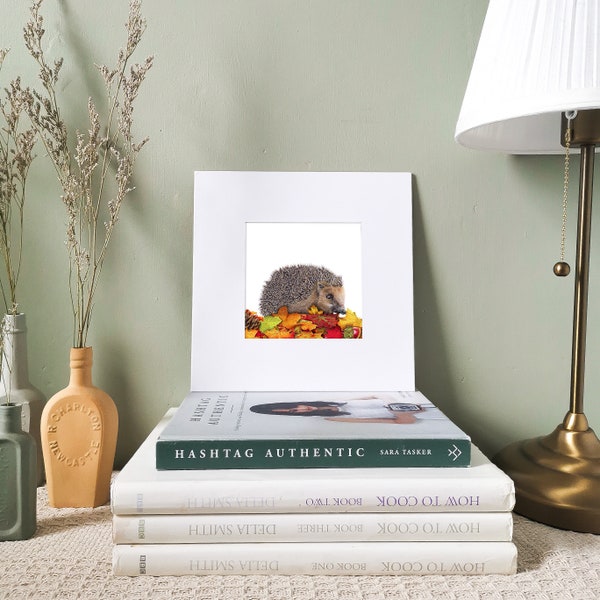 Hedgehog Art Print | Autumn Print | Mounted Print | Hedgehog Print | Wildlife Print | Gift Ideas | Gardener Gift | Garden Wildlife