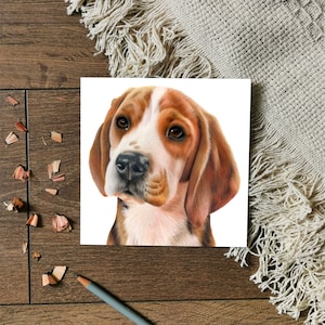 Tarjeta de felicitación Beagle / Tarjeta de felicitación para mascotas / Tarjeta para perros / Tarjeta de cumpleaños / Amante de los perros