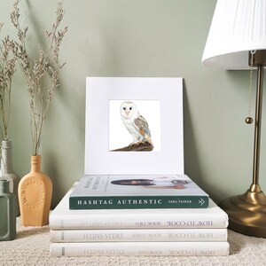 Barn Owl Art Print | Barn Owl Print | Owl Print | Owl Gift | Mounted Print | Bird Print | Wildlife Print | Gift Ideas | Bird Art