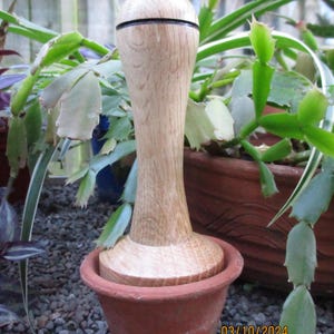 May include: A wooden plant press with a brown wooden handle and a black band around the top. The press is sitting in a terracotta pot.