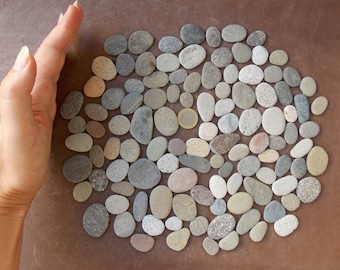 120 guijarros planos de mar: piedras variadas para manualidades con guijarros