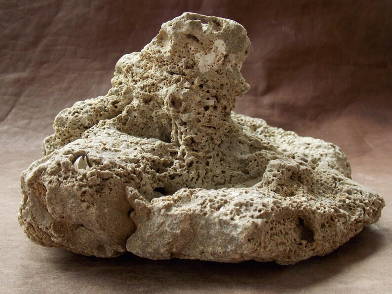 Large Natural Limestone for Aquarium Fish Tank Decor Big Sea Etsy
