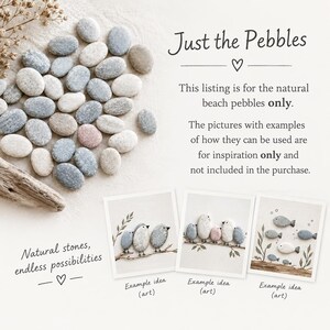 May include: A collection of smooth, natural beach pebbles in shades of gray, white, and tan. The text reads: Just the Pebbles, This listing is for the natural beach pebbles only, Natural stones, endless possibilities, and Example idea (art).