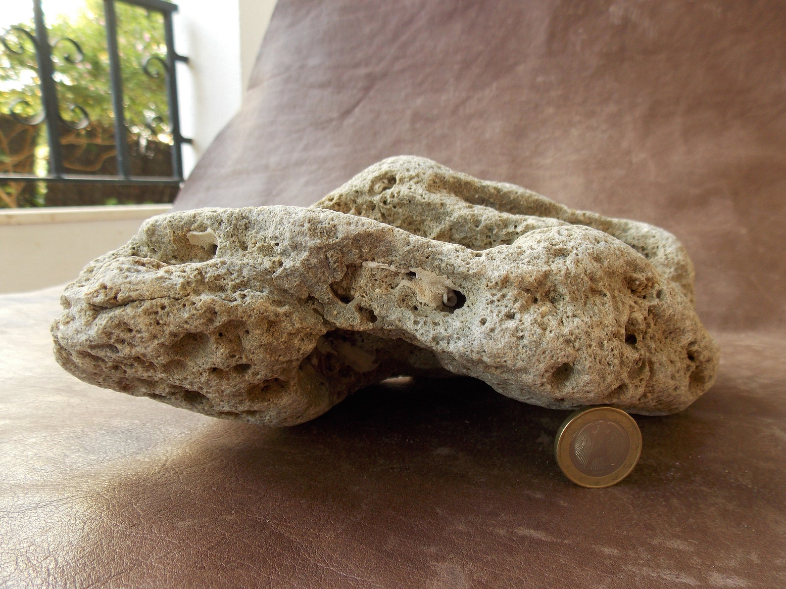 Large Limestone Rock Stone for Aquarium Fish Tank Terrarium Etsy