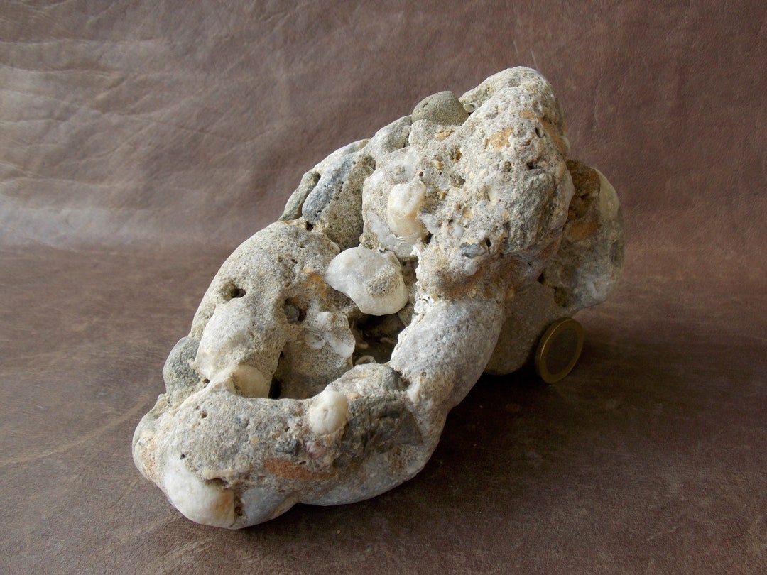 Big Natural Breccia Limestone Rock for Aquarium Fish Tank Terrarium