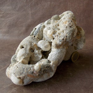 Brekzien Kalkstein-Aquarium-Stein: Natürlicher Fischunterschlupf, Kakteen-Blumentopf (18x10x7 cm)