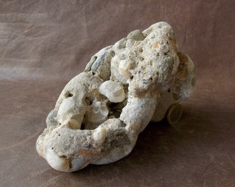 Breccia Limestone Aquarium Rock, Fish Shelter, Natural Eco friendly  Succulents Cactus Planter (7"x4"x3")
