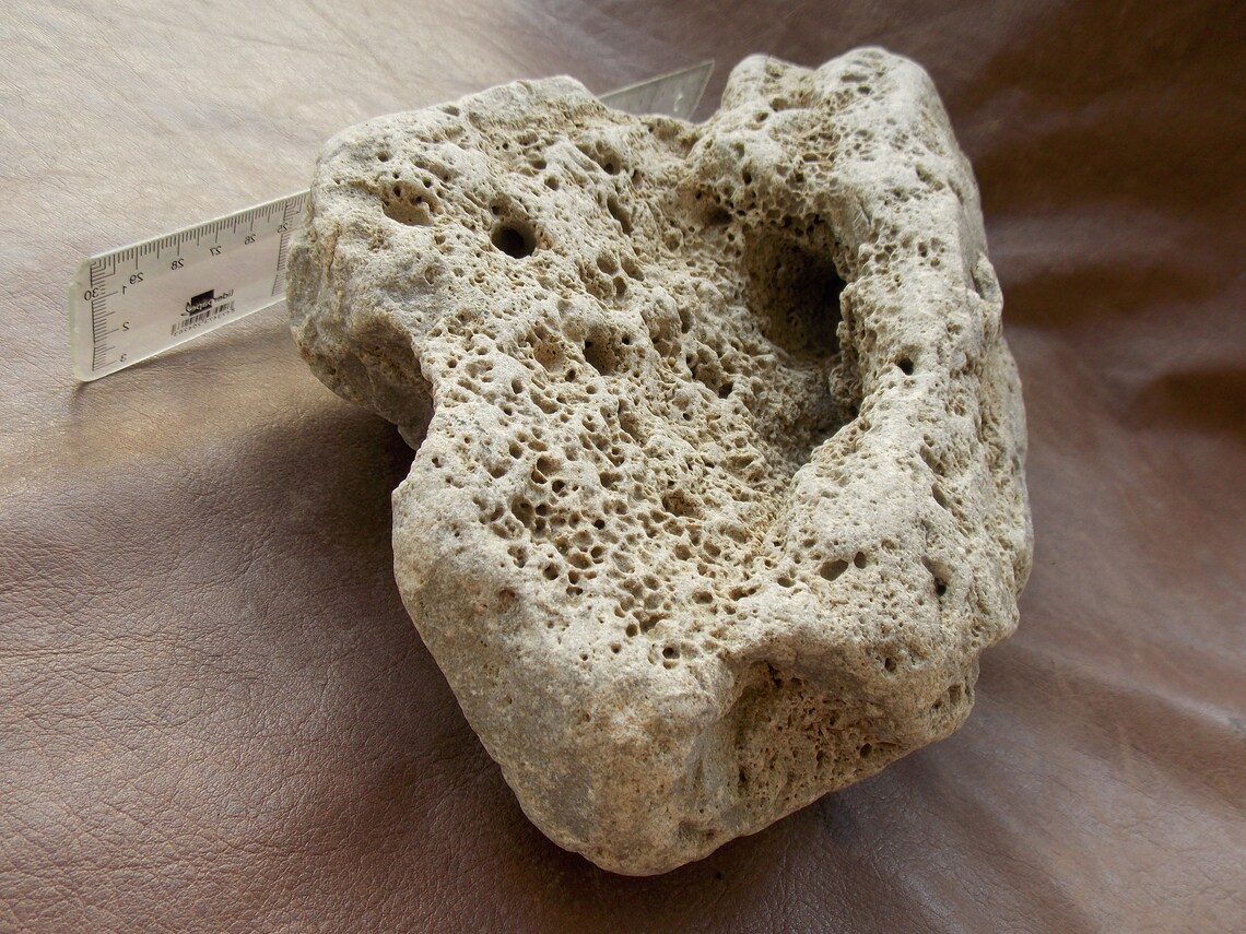 Large Natural Limestone Beach Rock for Aquarium Fish Tank Etsy