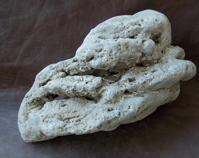 Large Natural Limestone Beach Rock for Aquarium Fish Tank Terrarium