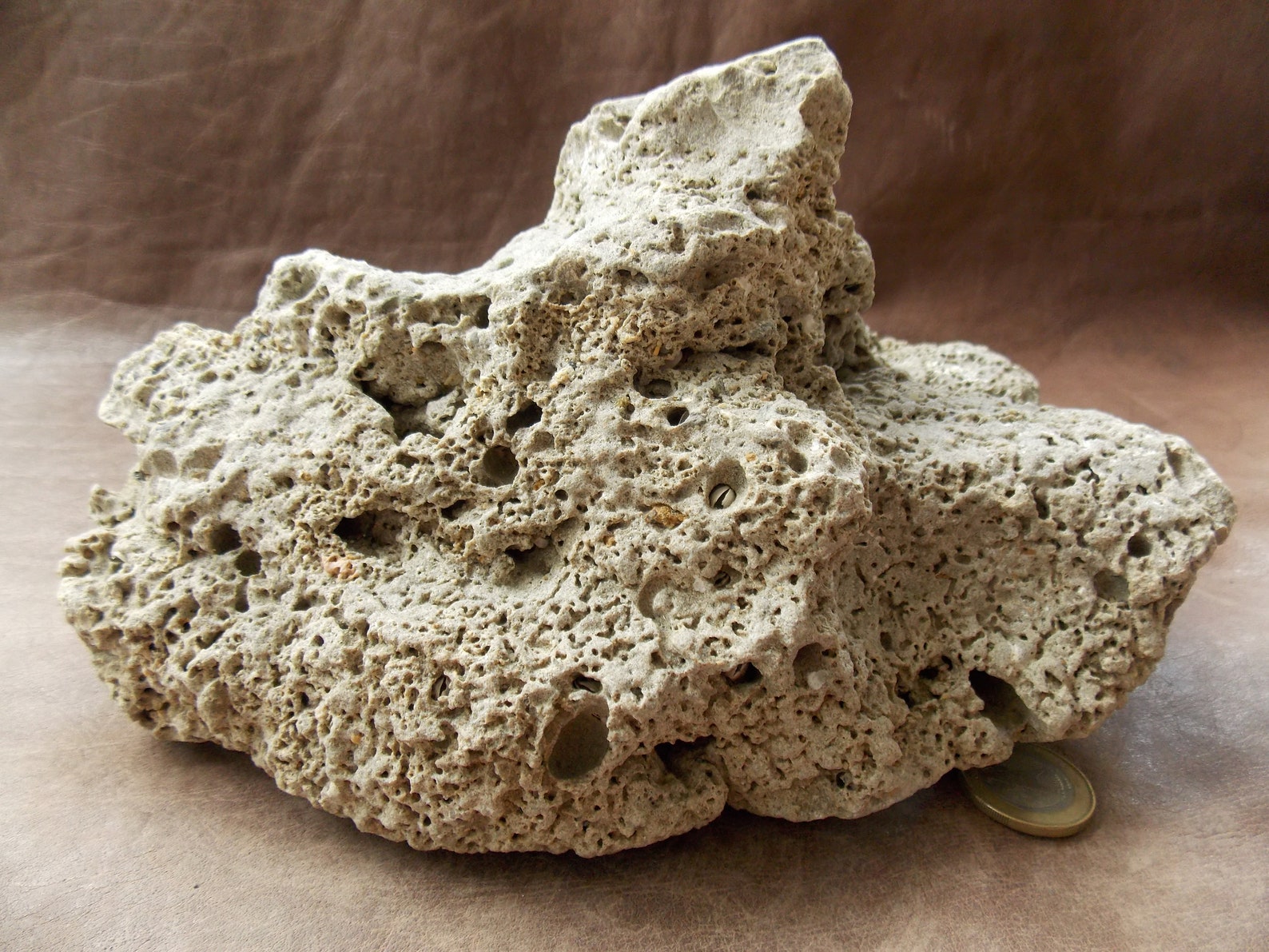 Large Natural Limestone for Aquarium Fish Tank Decor Big Sea Etsy