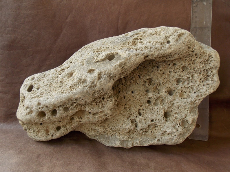Large Natural Limestone Beach Rock for Aquarium Fish Tank Etsy