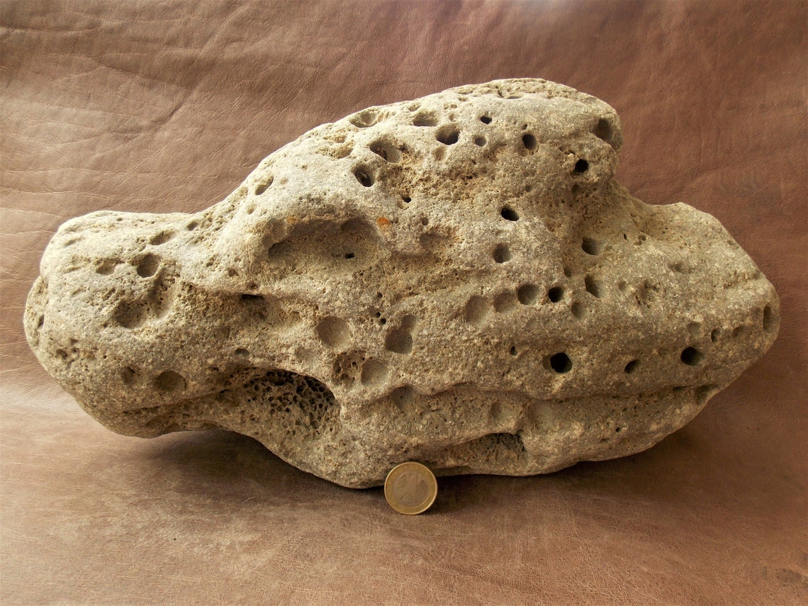 Large Natural Limestone Beach Rock for Aquarium Fish Tank Etsy