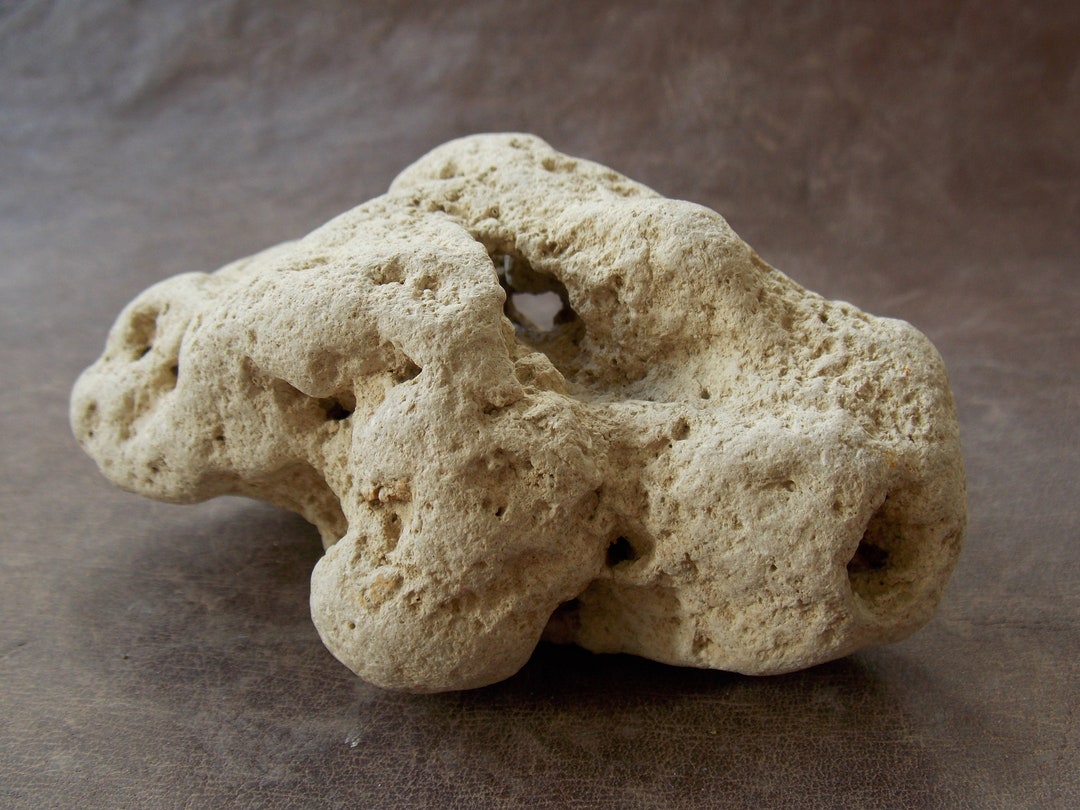 Natural Limestone Rock Aquarium Decor. Decorative Free Etsy