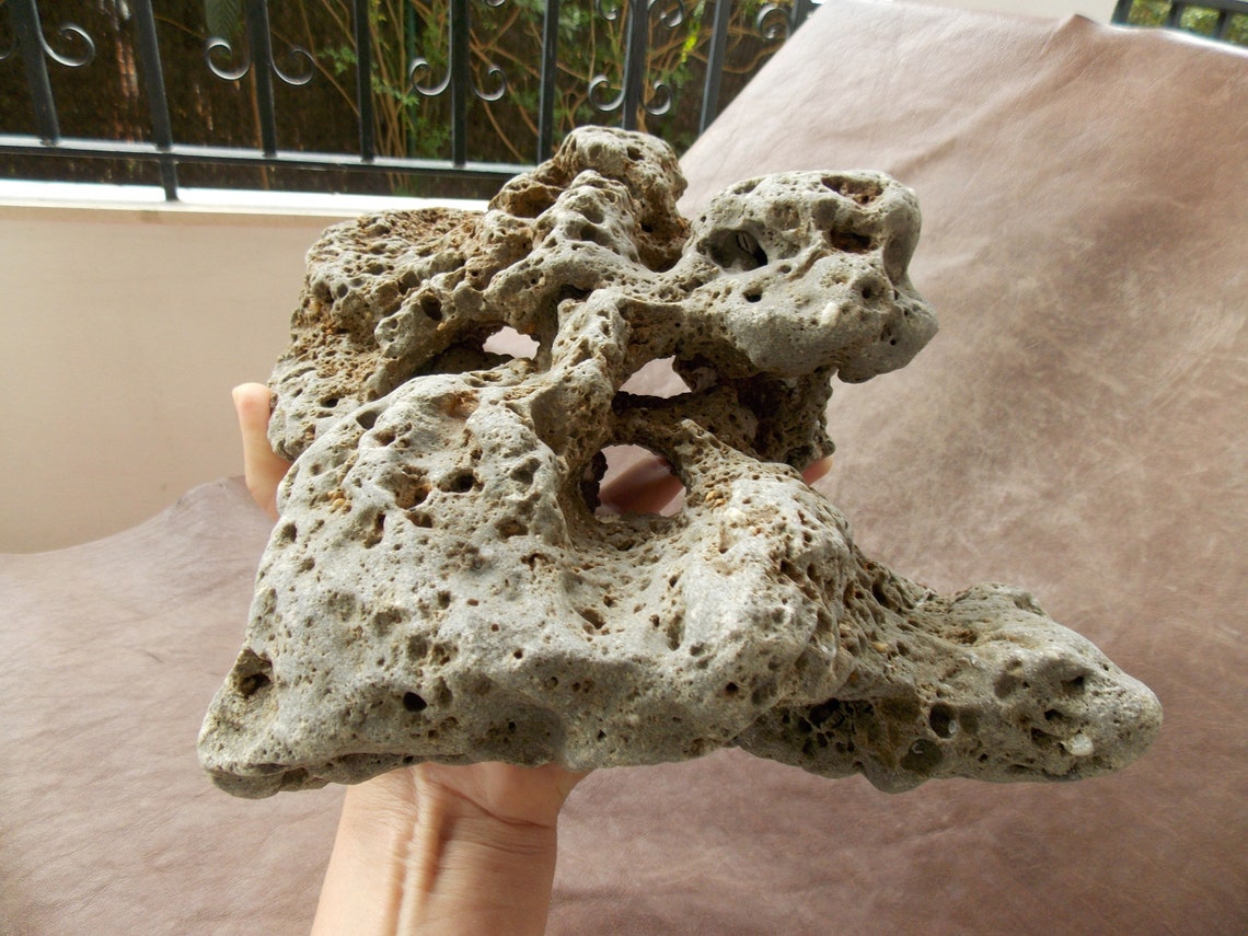 Limestone Large Freestanding Aquarium Stone With Big Holes and Etsy
