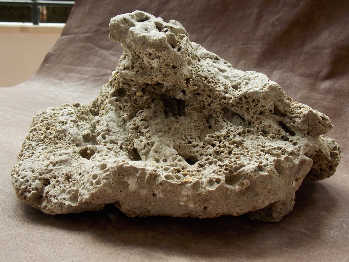 Large Natural Limestone for Aquarium Fish Tank Decor Big Sea Etsy