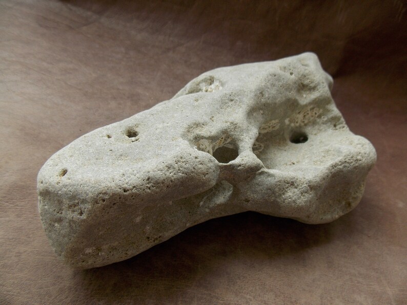 Large Natural Limestone Aquarium Stone With Holes Fish Tank Etsy