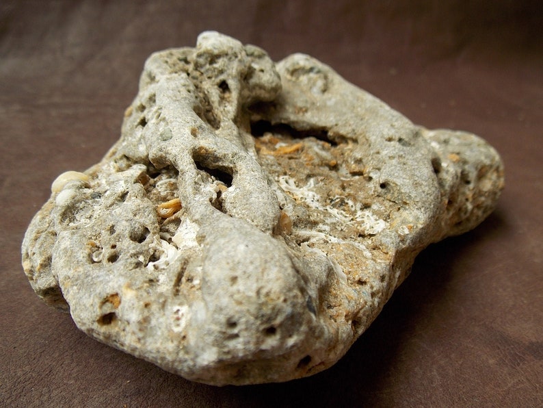 Large natural limestone Aquarium stone with holes Fish tank Etsy