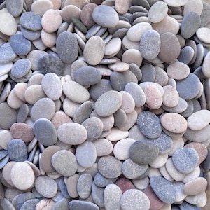 May include: A collection of numerous small, smooth, oval-shaped river stones in various shades of gray, white, beige, and light brown. The stones are packed closely together, displaying natural textures and rounded edges throughout the group.