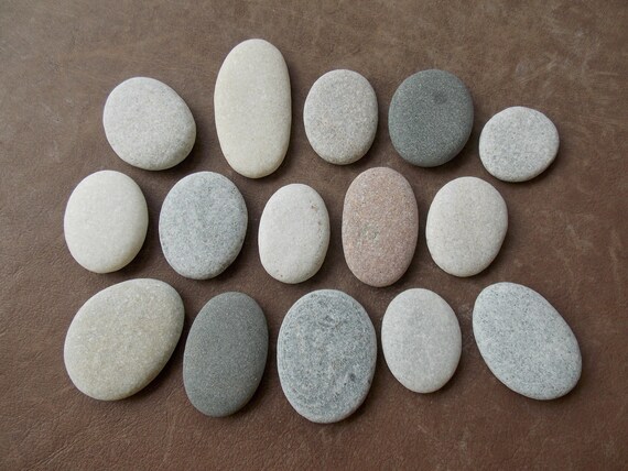 12 Galets Plats à Peindre 5-8 Cm – 6 Blancs + 6 Gris – Pinceau Inclus – Déco Jardin, Aquarium, Pots De Fleurs