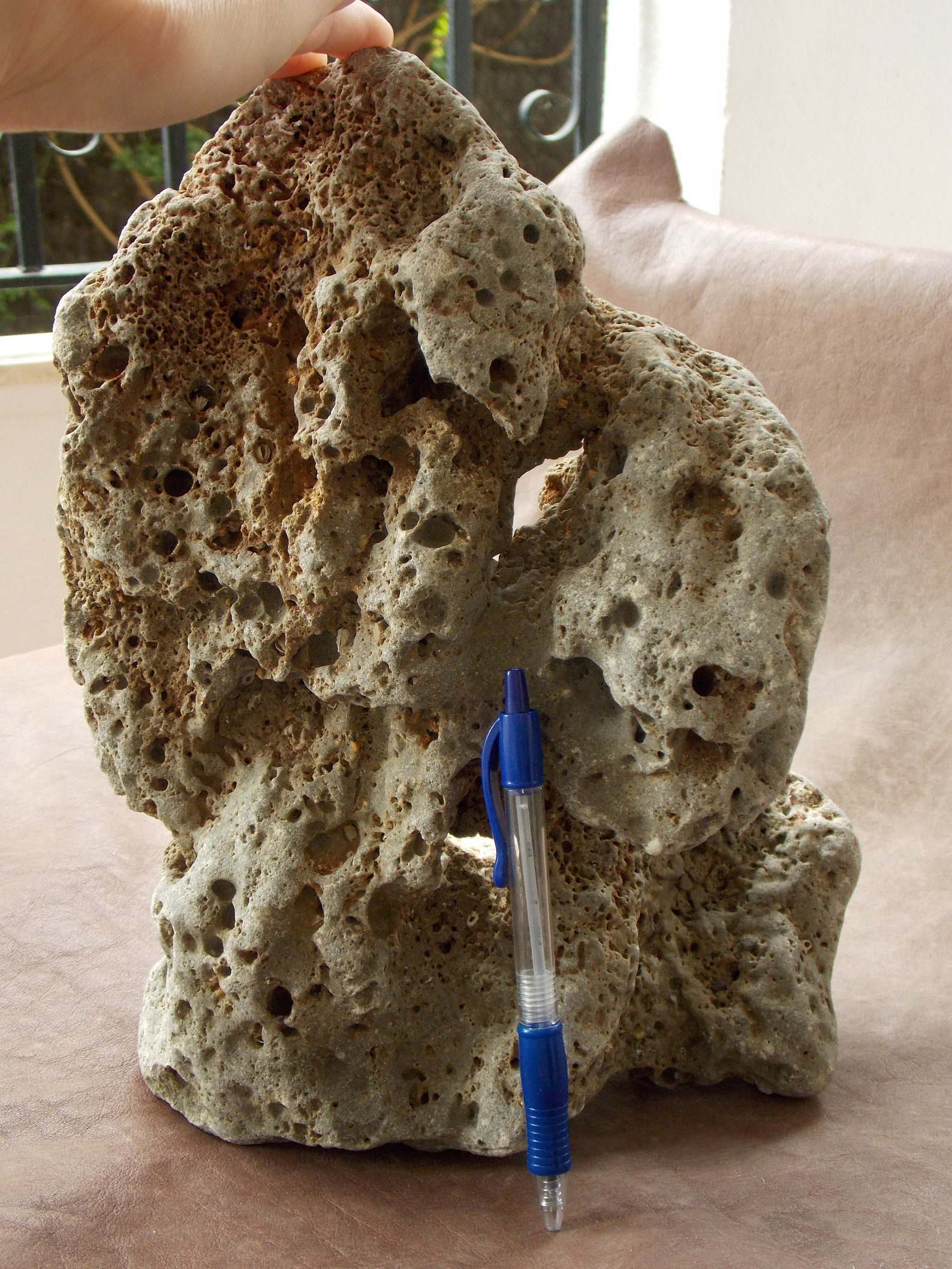 Limestone Large Freestanding Aquarium Stone With Big Holes and Etsy
