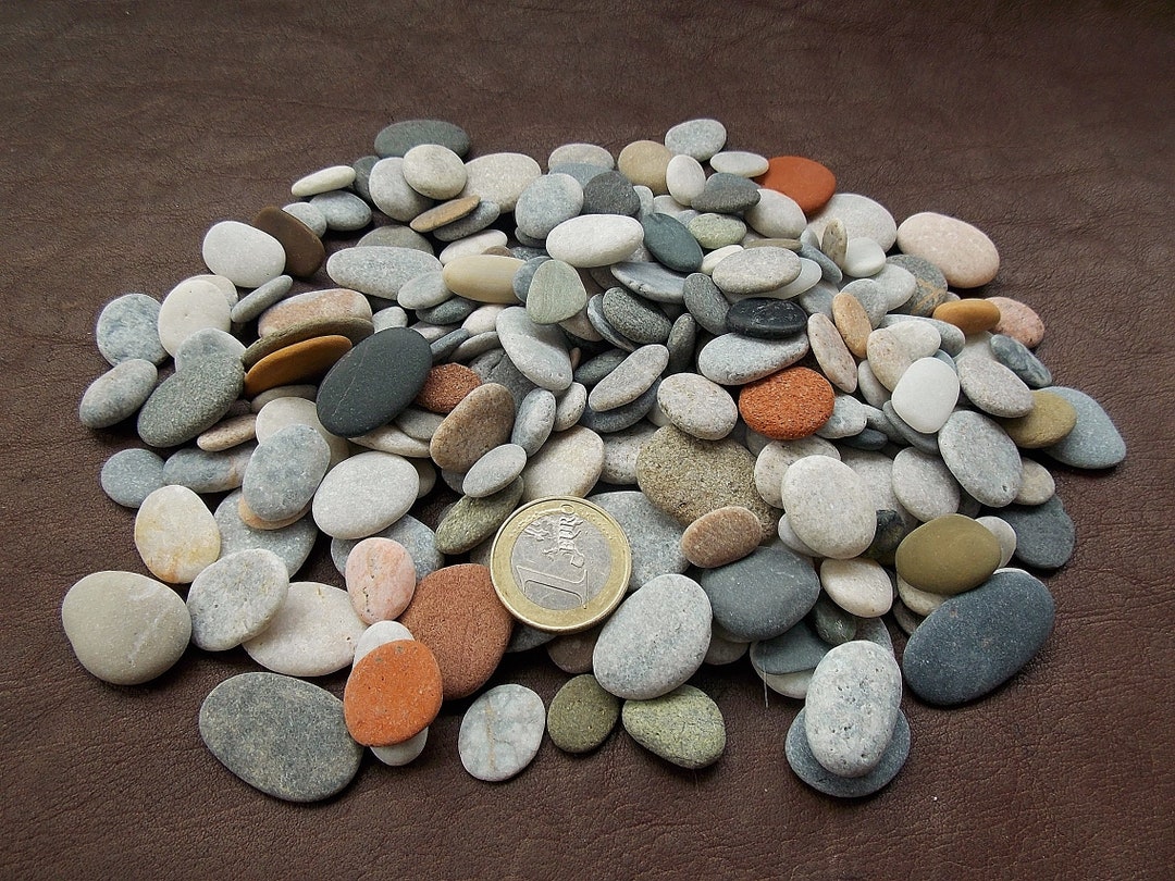 50+ Well-chosen Smooth Oval & Round Beach Sea Stones for Pebble Art ...