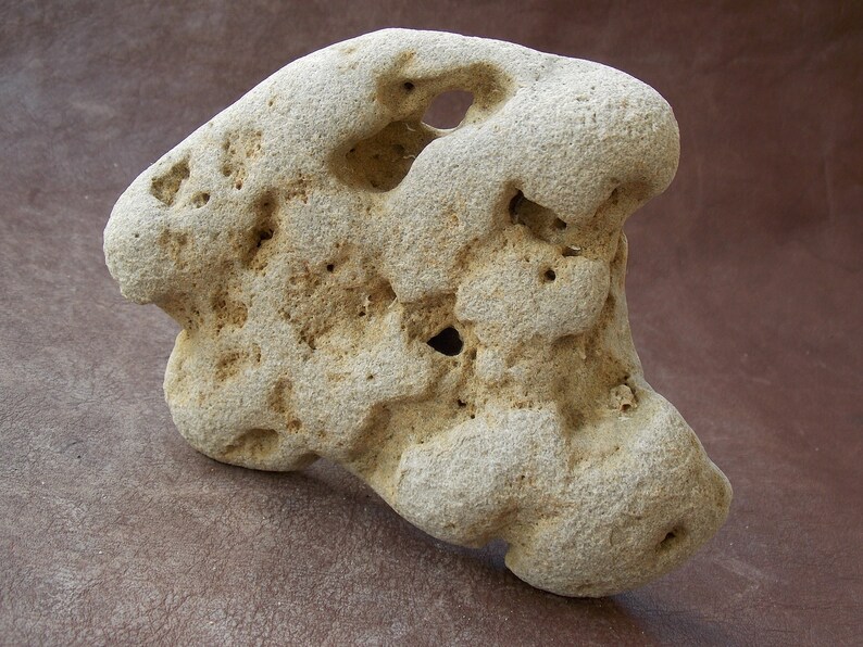 Natural limestone rock large fish stone with holes Etsy