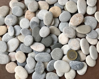 Smooth Oval Beach Stones: Pebble Art, Mosaic Making (2.5-4cm)