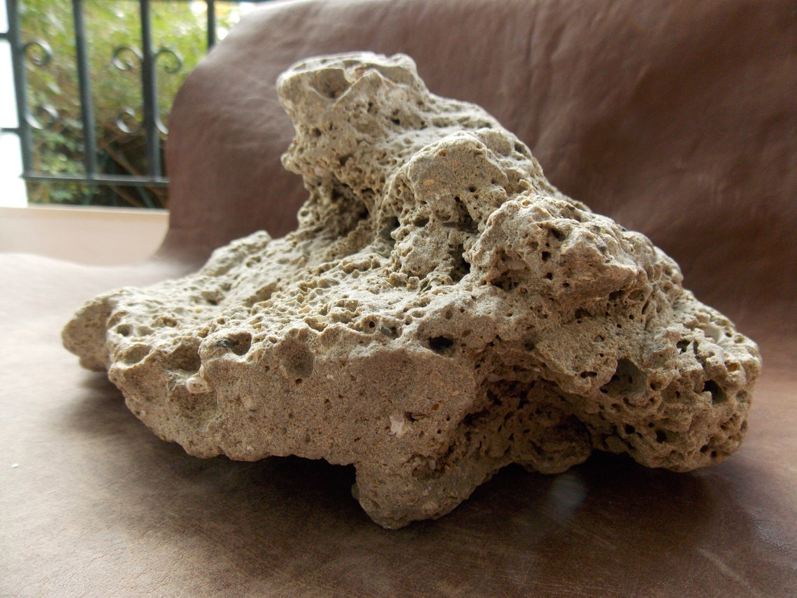 Large Natural Limestone for Aquarium Fish Tank Decor Big Sea Etsy