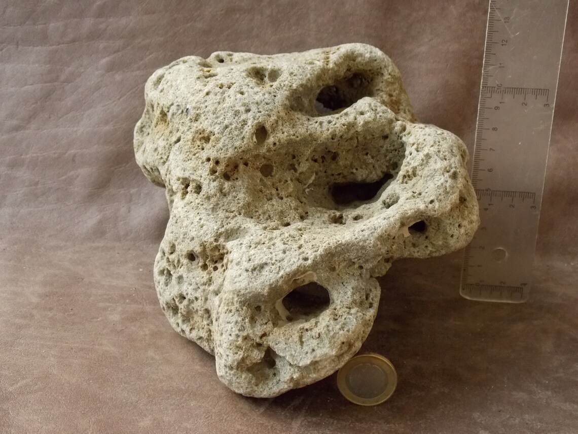 Large Limestone Rock Stone for Aquarium Fish Tank Terrarium Etsy