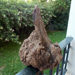 Natural Driftwood Stump: Bonsai Aquascape Aquarium Decor (26cm)