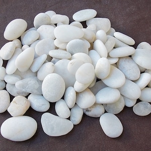 1 libra - 450 gr de rocas de playa blancas surtidas del Mediterráneo para manualidades Decoración de acuario con guijarros; pequeñas a medianas; 0,4 &quot;-1,6&quot;