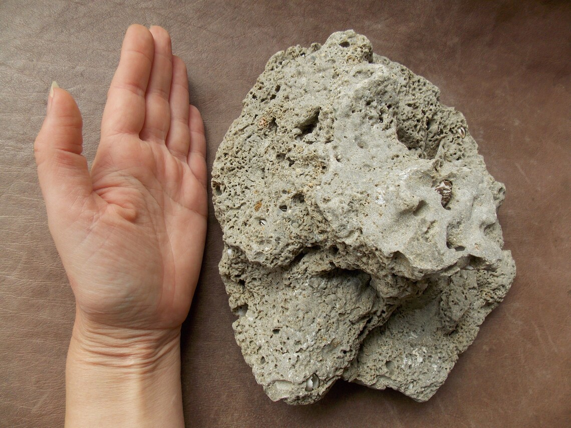 Large Natural Limestone for Aquarium Fish Tank Decor Big Sea Etsy