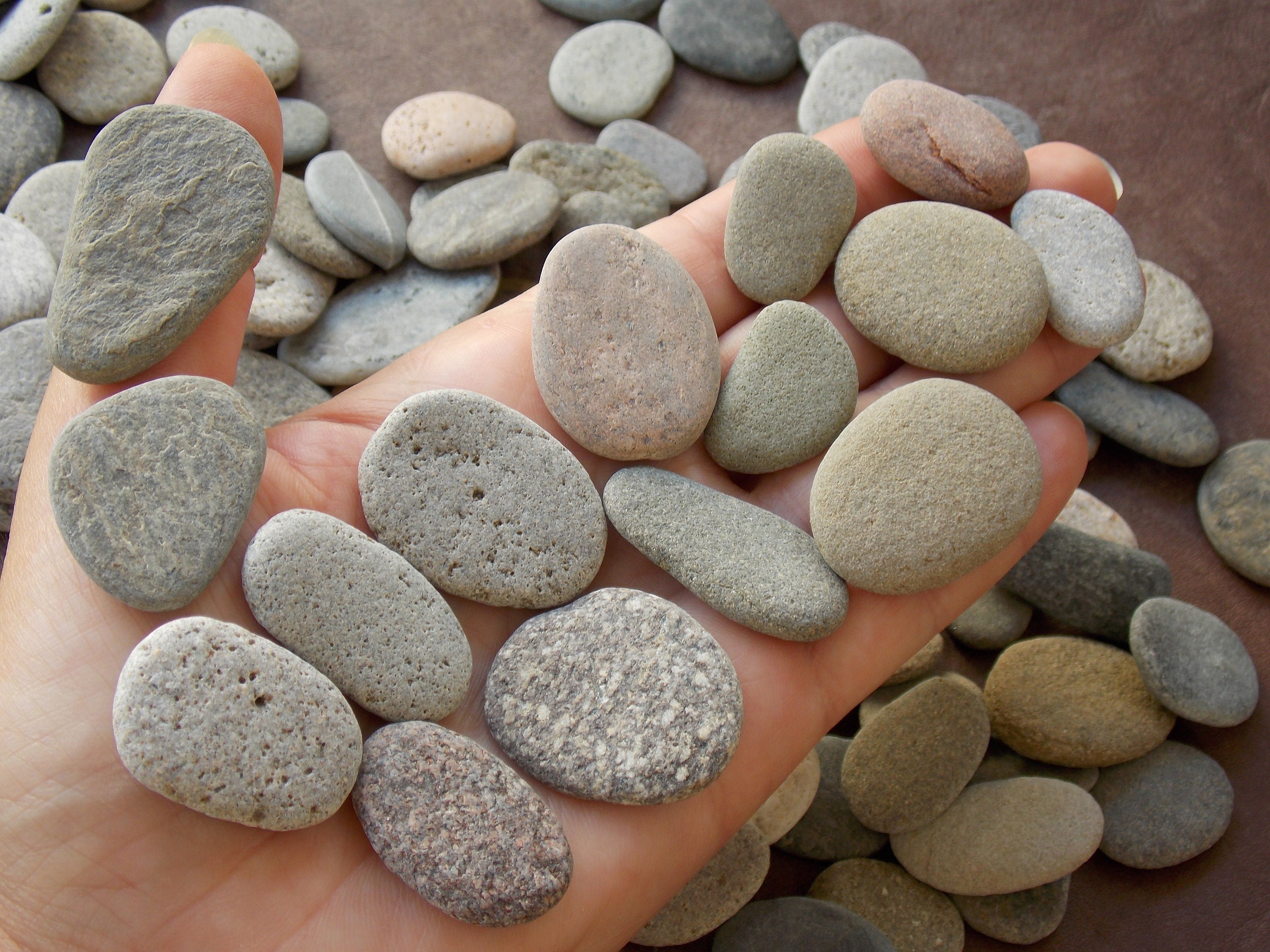 Bulk 120 Assorted Flat Sea Pebble Stones for Pebble Art Slate Etsy
