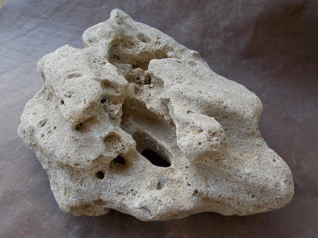 Large Aquarium Fish Stone Natural Limestone Rock With Holes Decorative Sea Stone Aquarium