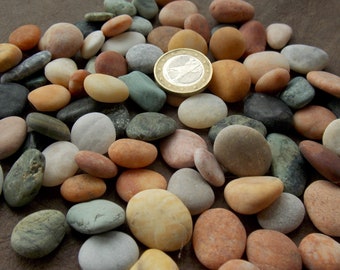 Small Colorful Beach Pebbles: Aquarium & Terrarium Decor