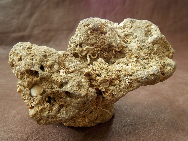 Natural limestone for aquarium decor. Free standing big stone Etsy