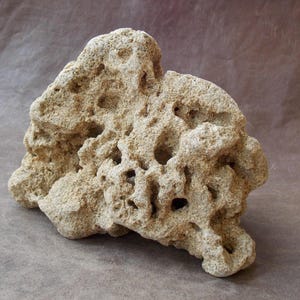 Natürlicher Kalkstein Rock Aquarium Dekor. Dekorativer Freistehender großer Stein mit Löchern. Fischbecken Terrarium Rock; Babyfischunterstand; 6,3 &quot;-16 cm