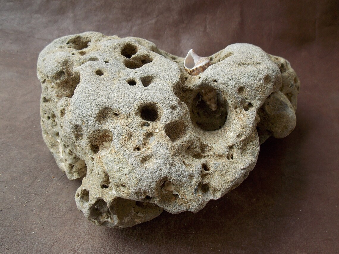 Large natural limestone for aquarium fish tank decor Big sea Etsy