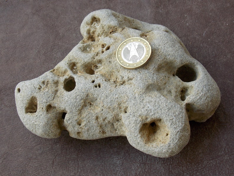 Natural limestone rock large fish stone with holes Etsy