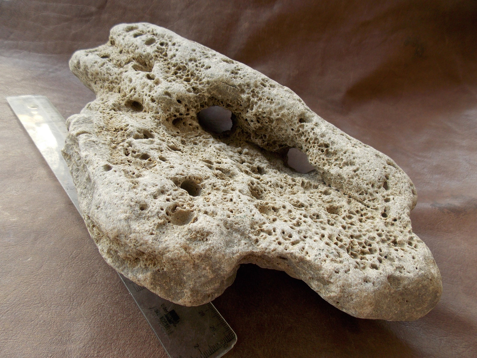 Large Natural Limestone Beach Rock for Aquarium Fish Tank Etsy