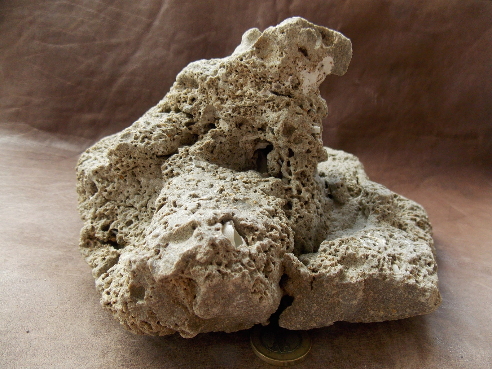 Large Natural Limestone for Aquarium Fish Tank Decor Big Sea Etsy