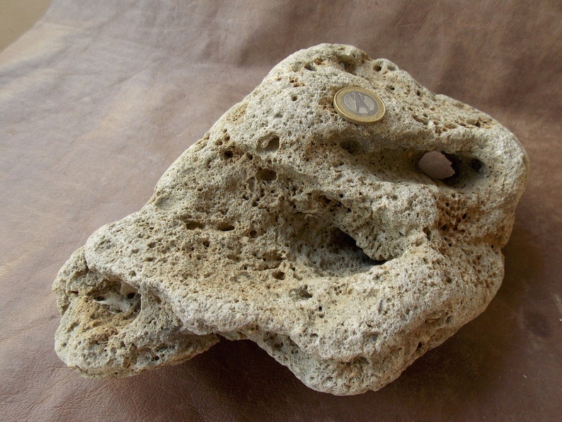 Large Limestone Rock Stone for Aquarium Fish Tank Terrarium Etsy