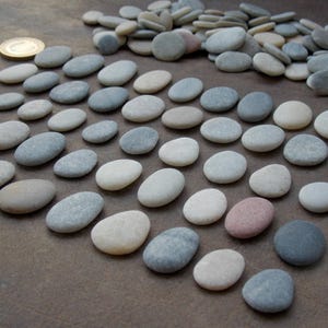 May include: A collection of smooth, rounded river stones in various shades of gray, white, and beige, arranged in a grid pattern with a pile of additional loose stones in the background and two gold-colored coins for scale.