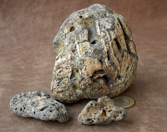 Natural Volcanic Lava Rock: Unusual Aquarium Terrarium Decor